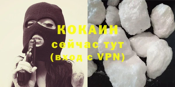 мет Няндома