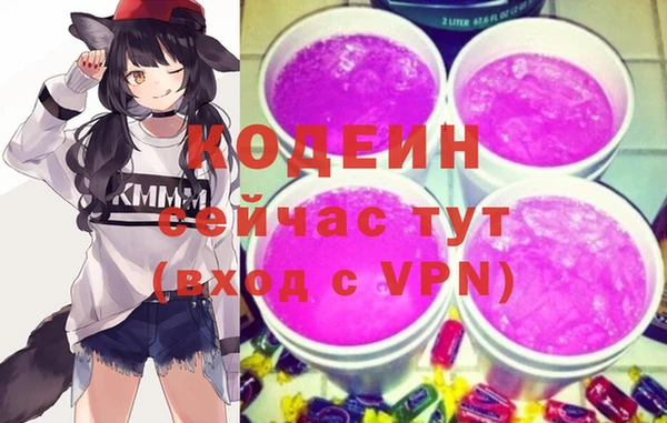 мет Няндома