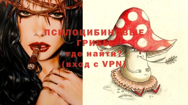 трава Нязепетровск