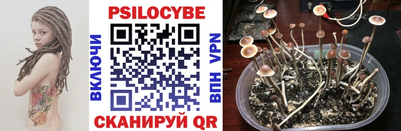 Псилоцибиновые грибы Psilocybine cubensis omg зеркало Тетюши